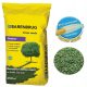  Dekogras, Grasmischung, für schattige Bereiche, Garten, Renovierung Barenbrug 250 m² 5 kg
