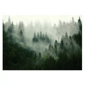 WASCHBARE Fototapete Wald im Nebel, laminiert, 368 x 280