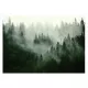 WASCHBARE Fototapete Wald im Nebel, laminiert, 368 x 280