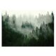 WASCHBARE Wald im Nebel LAMINIERTE Fototapete 460x300
