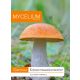  Myzel Orange-gelbes Myzel 10 g