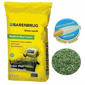    Ziergras, Grasmischung, Garten, Renovierung, Sport Barenbrug 50 m² 5 kg