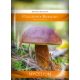  Myzel brauner Steinpilz Myzel 60 ml