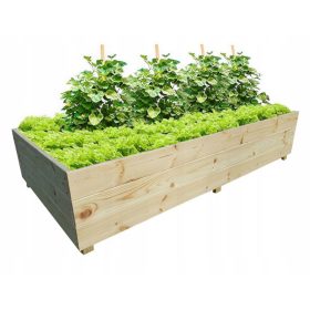  Mini-Gewächshaus 150 cm x 100 cm aus Holz