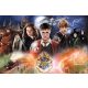  Puzzle Trefl Harry Potter 300 Teile Puzzle 300 Mysteriöser Harry Potter TREFL 23001