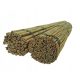 Gartenpfähle für Pflanzen Dixiestore Bambusstange 150 cm x 20 mm 50 Stk.
