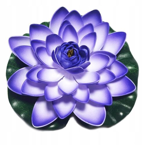  Deep Aqua Lily für Teichblau 28cm
