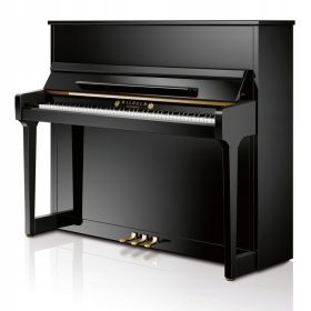  Wilhelm Schimmel W123 Traditionelles akustisches Klavier
