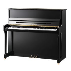  Deutsches Wilh-Klavier. Steinberg S125