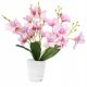 Künstliche Blumen und Früchte KÜNSTLICHE BLUMEN im Topf Orchidee 40cm
