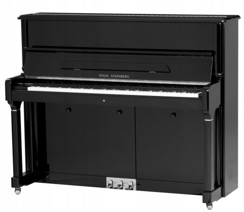  Mit akustischem Klavier. Steinberg P125 SR