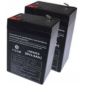  Biaks AGM 6V 4,5Ah VRLA-Batterien, 2 Stück