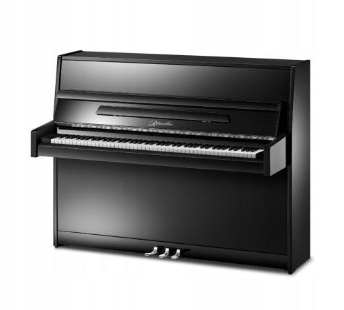  Ritmüller Compact 112 EU Klavier