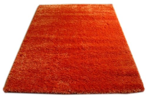Teppiche Shaggy Elite Teppich 120 x 170 cm