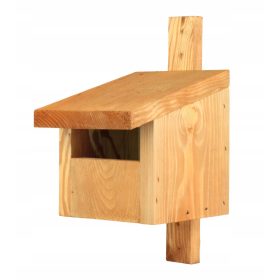  Nistkasten Typ P, Bachstelze, Aschenputtel, Amsel, BL-3