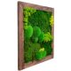 Bilder an der Wand MOOSBILD, HOLZRAHMEN