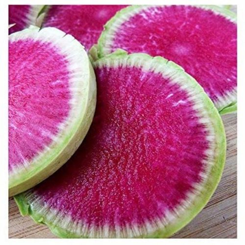  Radieschen und Wassermelonen-Radieschensamen 0,1 g