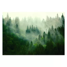 Wandbild „Nebliger Wald“ im skandinavischen Stil 416x254