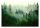 Wandbild „Nebliger Wald“ im skandinavischen Stil 416x254