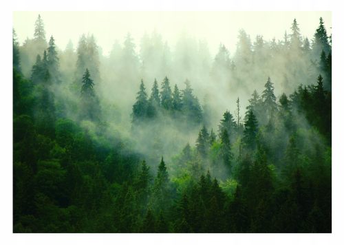 Wandbild „Nebliger Wald“ im skandinavischen Stil 416x254