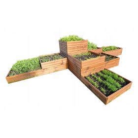  Mini-Gewächshaus 300 cm x 180 cm aus Holz