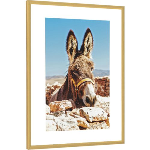 Bilderrahmen Cadro-Fotorahmen 45 x 35 cm