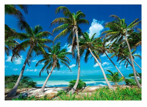 Fototapete PARADISE BEACH 3D Palmenmeer 416x254
