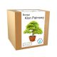  Set zum Züchten eines Bonsai-Baums, Maple Palm Leaf