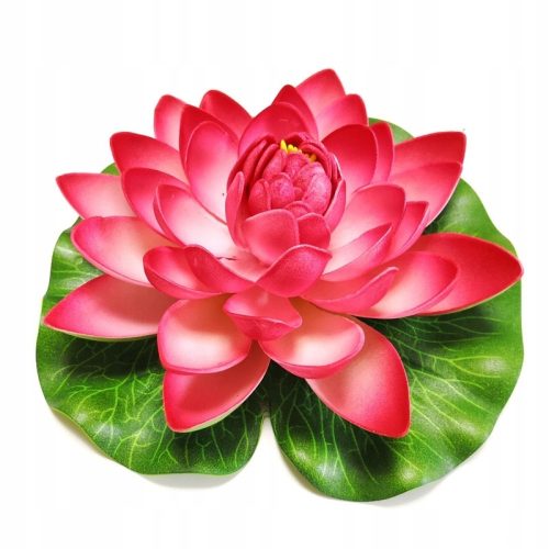  Deep Aqua Lily für Teich Rot 28cm
