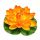  Deep Aqua Lily für Teich, Orange, 28 cm