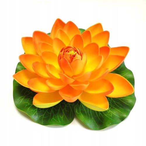  Deep Aqua Lily für Teich, Orange, 28 cm