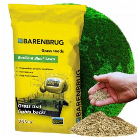  Grasmischung, Garten Barenbrug 750 m² 15 kg