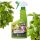  BIO Spray gegen Pilzkrankheiten Compo 750ml