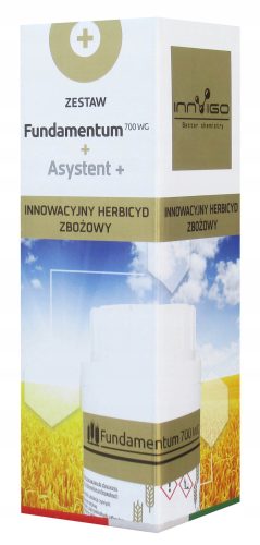  Fundamentum 700WG 30g + Assistant 100ml Unkrautvernichter