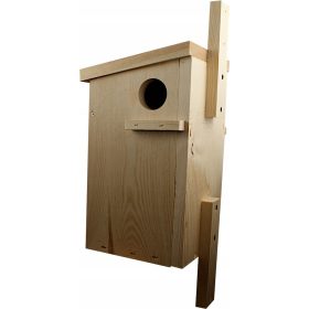  Ein Eichhörnchenhaus