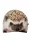  3D-KISSEN Igelkissen mit Igel-Geschenk