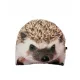 3D-KISSEN Igelkissen mit Igel-Geschenk