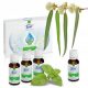 Essentielle Öle Ätherische Ölmischung, nur 80 ml