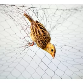  Agro Jumal Vogelschutznetz