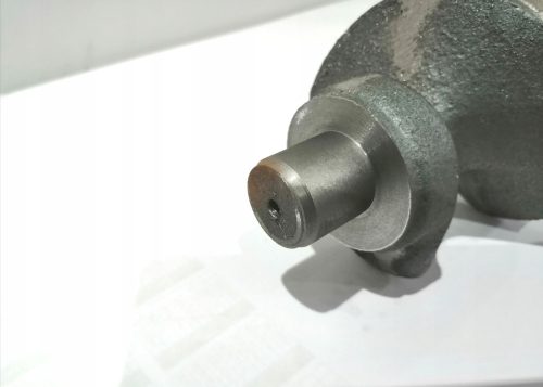 Schneckenkrebs 07