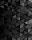FOTOTAPETE 200x254 Vliestapete MUSTER #F111