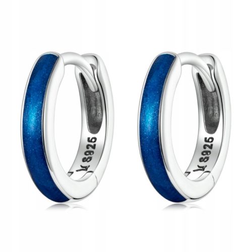  Silberohrringe GLÄNZENDE BLAUE RINGE S925