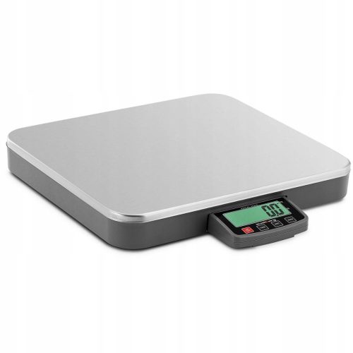 Steinberg Plattformwaage 100 kg x 50 g