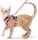  Druckfreies Geschirr für Katzen und Hunde mit Leine, rosa