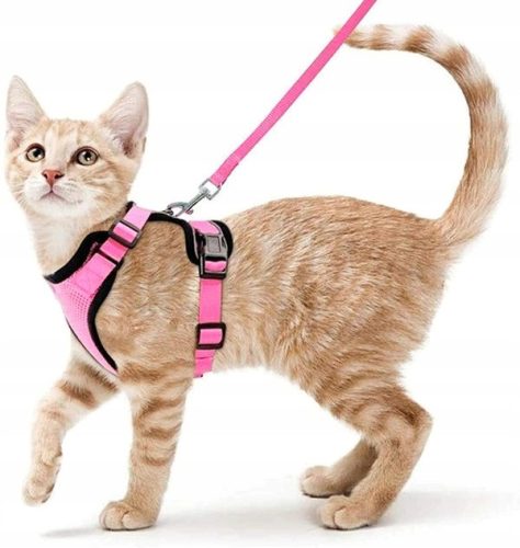  Druckfreies Geschirr für Katzen und Hunde mit Leine, rosa