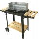 Holzkohlegrill - MCC Trading International Holzkohlegrill 48 x 28,5 cm