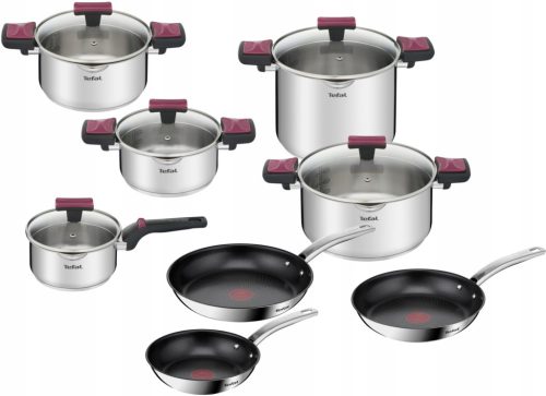 TEFAL Cook&Clip und Intuition Kochset – Robuste Vielfalt für Alle Kochfelder