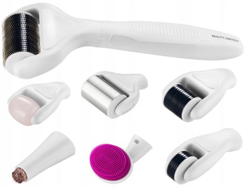  Beauty Limited BL-80 Gesichtsroller