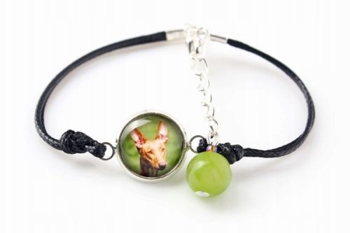  Pharao-Hund-Armband mit Ihrem Foto handgefertigt