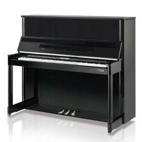  professionelles Klavier W.Hoffmann P126